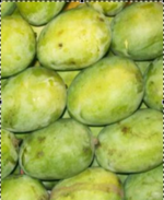 Langa Desi sweet Mango-Tukwila online market Germany