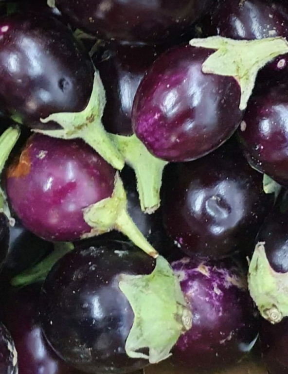 Round Eggplant-Tukwila online Market in Germany