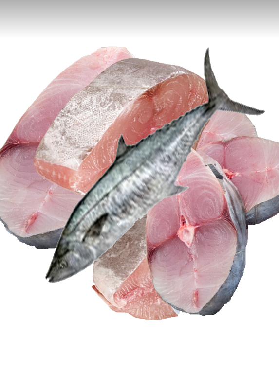 Kingfish Steaks, Pieces, Spanish Mackerel Fish, Königsfisch Stücken, 1kg  pkt (5/7pcs) - Tukwila - Online Desi Grocery Store in Germany