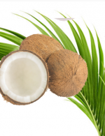 Coconut Kokosnusse-Tukwila Online Market in Germany
