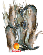 gernelen ganz golda chingri prawn shrimp whole-13-tukwila online supermarket in Germany