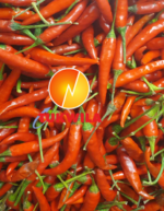 Fresh Red Chilli Rote Chilli Scharfes -Tukwila Online Market in Germany