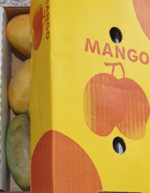 Honey Mango Sweet Mango Desi Mango_a_1karton Tukwila online Market in Germany