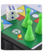 Magnetic Ludu Luddu Luddo Ludo- Playing Board- Tukwila online Market in Germany-4