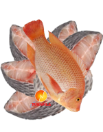 Red Tilapia Fish Fisch Steak pieces 1kg