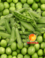 Desi Green Peas Grüne Erbsen 3 Tukwila Supermarket in Germany
